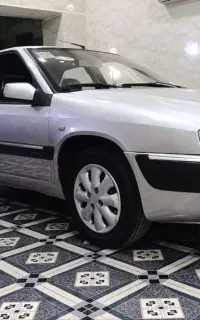 زانتیا نقره ای