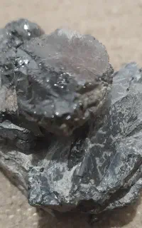مومنای