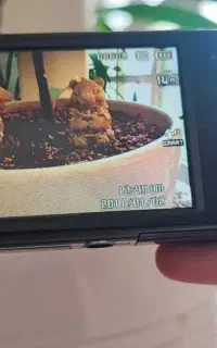 دوربین عکاسی دیجیتال سامسونگ