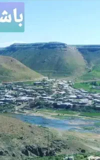 جوجه بیوتی