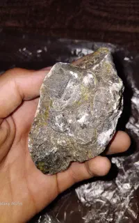 سنگ فسیل صرف