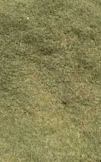 فروش‌علوفه‌گیاه‌خرمن‌کوب‌شده