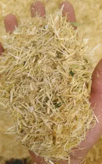 کاه  تحویلی 13.000 آماده همکاری با فروشنده معتبر