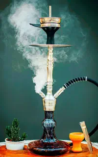 پاسور