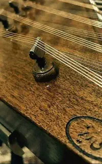 تولید کننده سنتور نی ریز