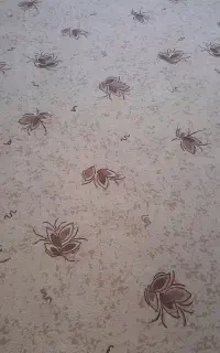 موکت ۳در ۴