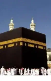 فیش حج عمره  خرید مساوی با رفتن