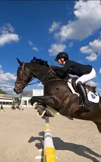 باشگاه سوارکاری ، پانسیون و آموزش