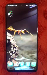 گوشی هواوی NOVA Y90