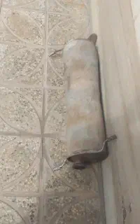 اگزوز زانتیایی