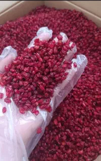 زرشک درجه ۱صادراتی