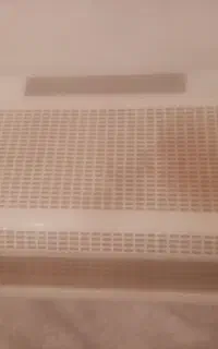 هود
