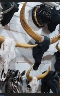 جمجمه اسکلت نماد سرخ پوستی سکان لنگر کشتی چوبی