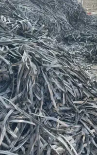 ضا یع آت نو ا ر تیپ و باغی