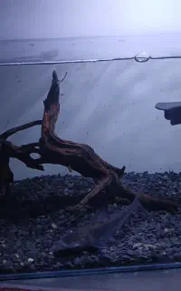 تجهیزات و اکواریوم کامل