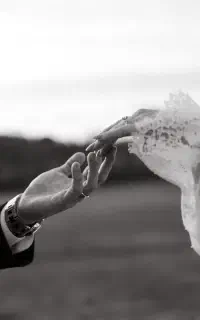 فیلم برداری مراسم عروسی