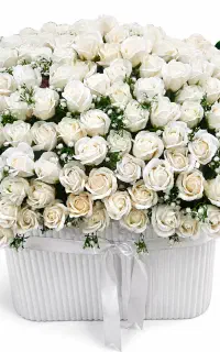 گل خواستگاری بله برون ۱۵۰ شاخه سفید نو