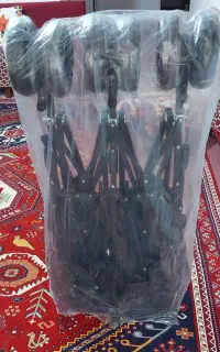 کالسکه دوقلو کنارهمی دلیجان