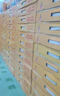 استخدام ادمین تولید محتوا و فروش