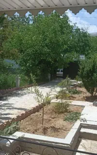هرس‌کاری‌باغبانی‌خاک‌باغچه‌درختکاری‌ی‌سم‌پاشی‌پاکن