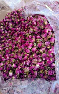 خرید وفروش گل محمدی دارابی و لاله زار