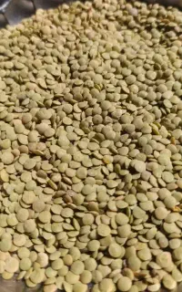 خوردن و آشامیدن