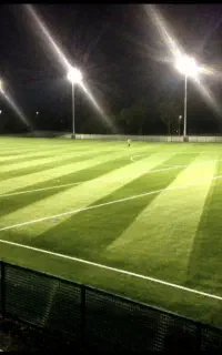 کاشت چمن طبیعی نصب چمن مصنوعی وکف پوش