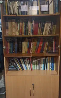 کتابخانه ففسه ای