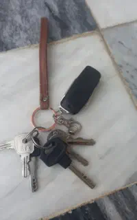 پیداشده