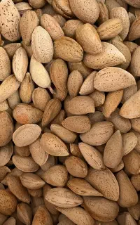 بادام دیم شیرین