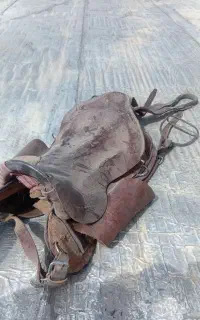 زین سوار کاری اسب