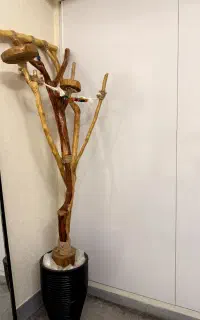 درختچه بازی و سرگرمی پرندگان