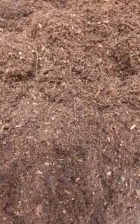خاک مخصوص حلزون