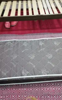 تشک نوجوان