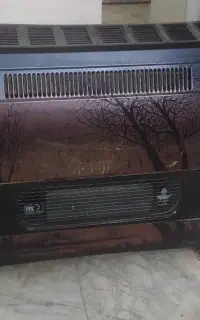 بخاری سالم
