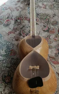 تار و کاسه تار حرفه ای