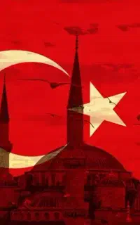 کاریابی استانبول آرتین