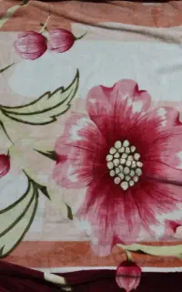 پتو