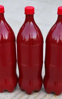رب خونگی