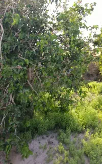 کار پاره وقتی در خدمتم از ساعت 10رور تا 23شب