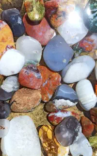 یه تغییر اساسی به دکور آکواریومت بده