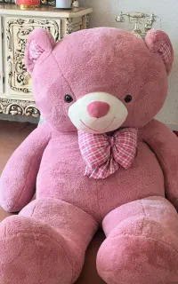 خرس بزرگی