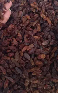 کشمش افتابی.شیره انگور.آب غوره.کشمش سبز