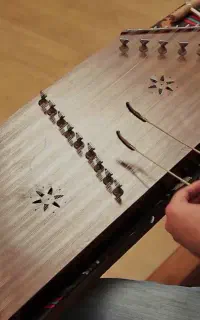 آموزش سنتور خصوصی