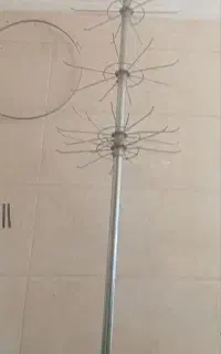 آویز و رگال بزرگ
