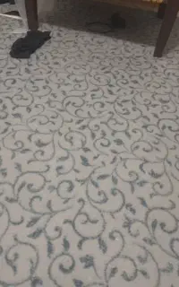 موکت
