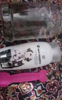 بازی سگ و شامو و غذای خارجی سگ