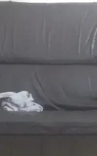 مبل