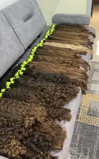 موی طبیعی و رنگی الان سرمایه هست با ما نقد کنید