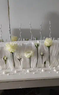خدمات مجالس ماشین عروس